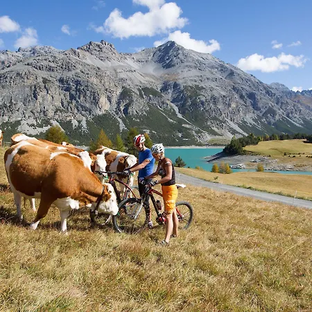 Hotell Meuble Garni Della Contea Bormio
